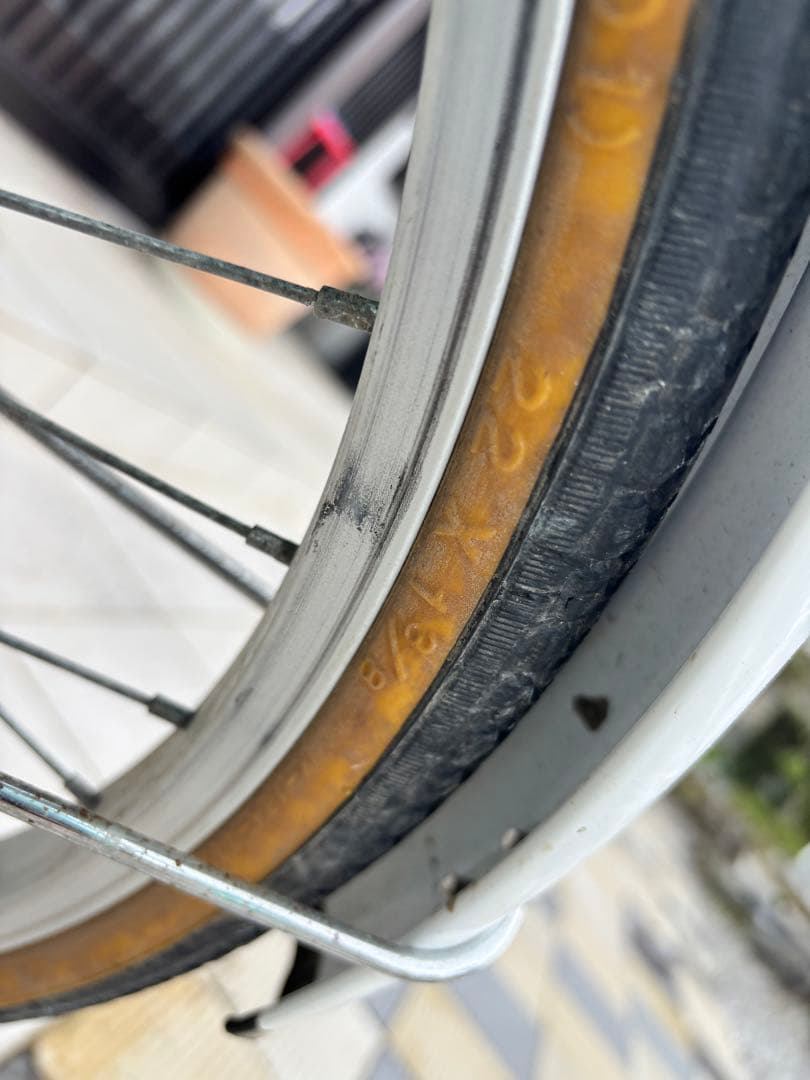 MAHALO 子供用自転車 水色 22インチ
