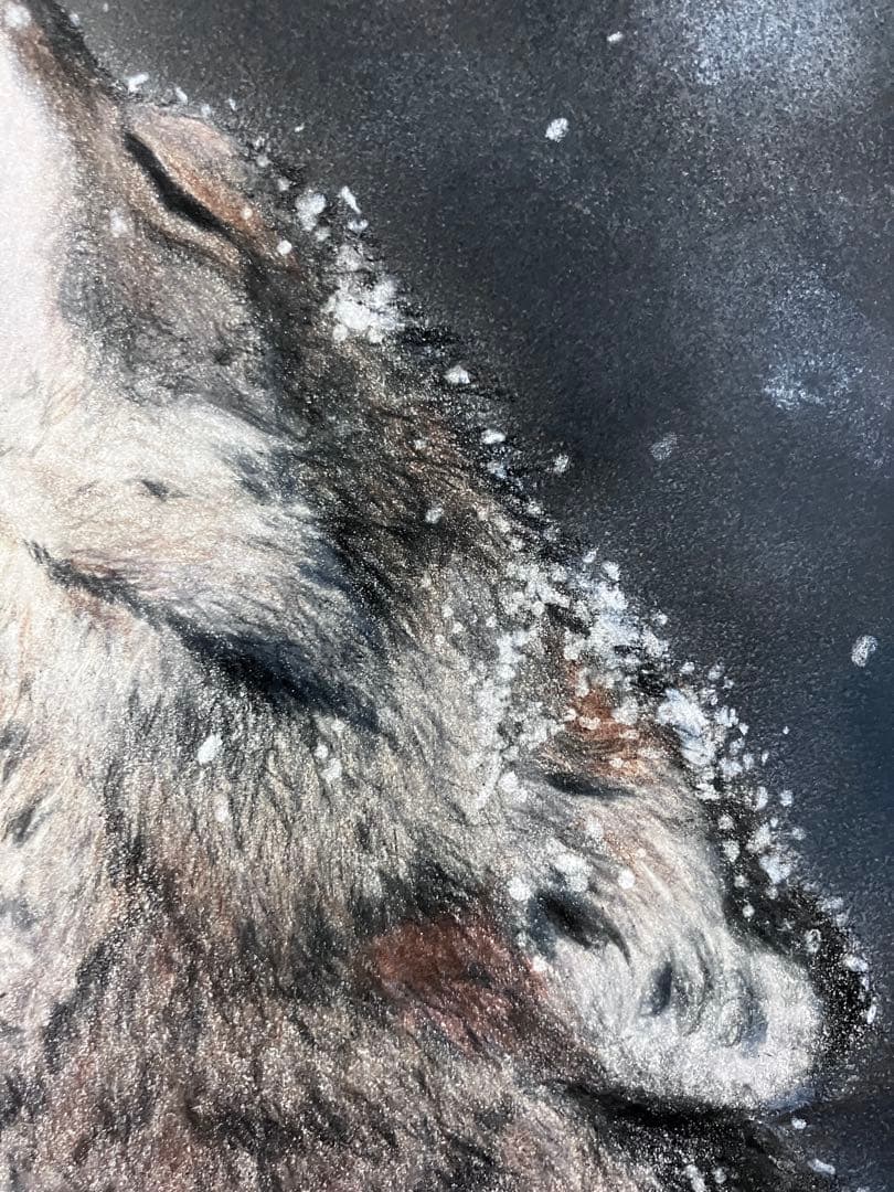 極寒の空に 色鉛筆画 パステル