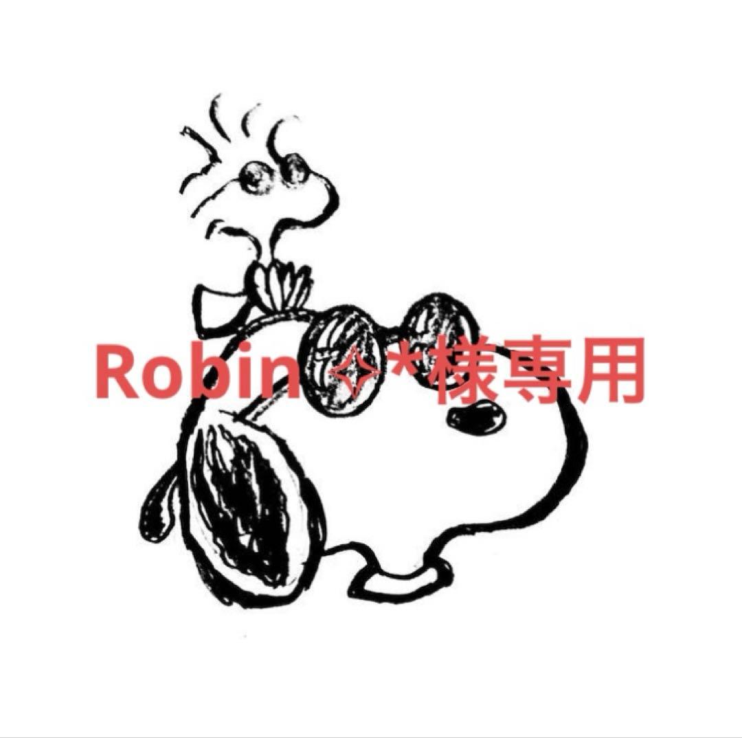 Robin ✧*