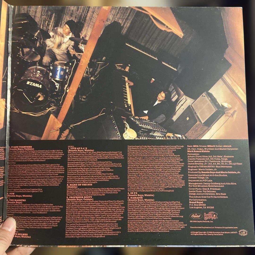 Beastie Boys - Check Your Head レコード