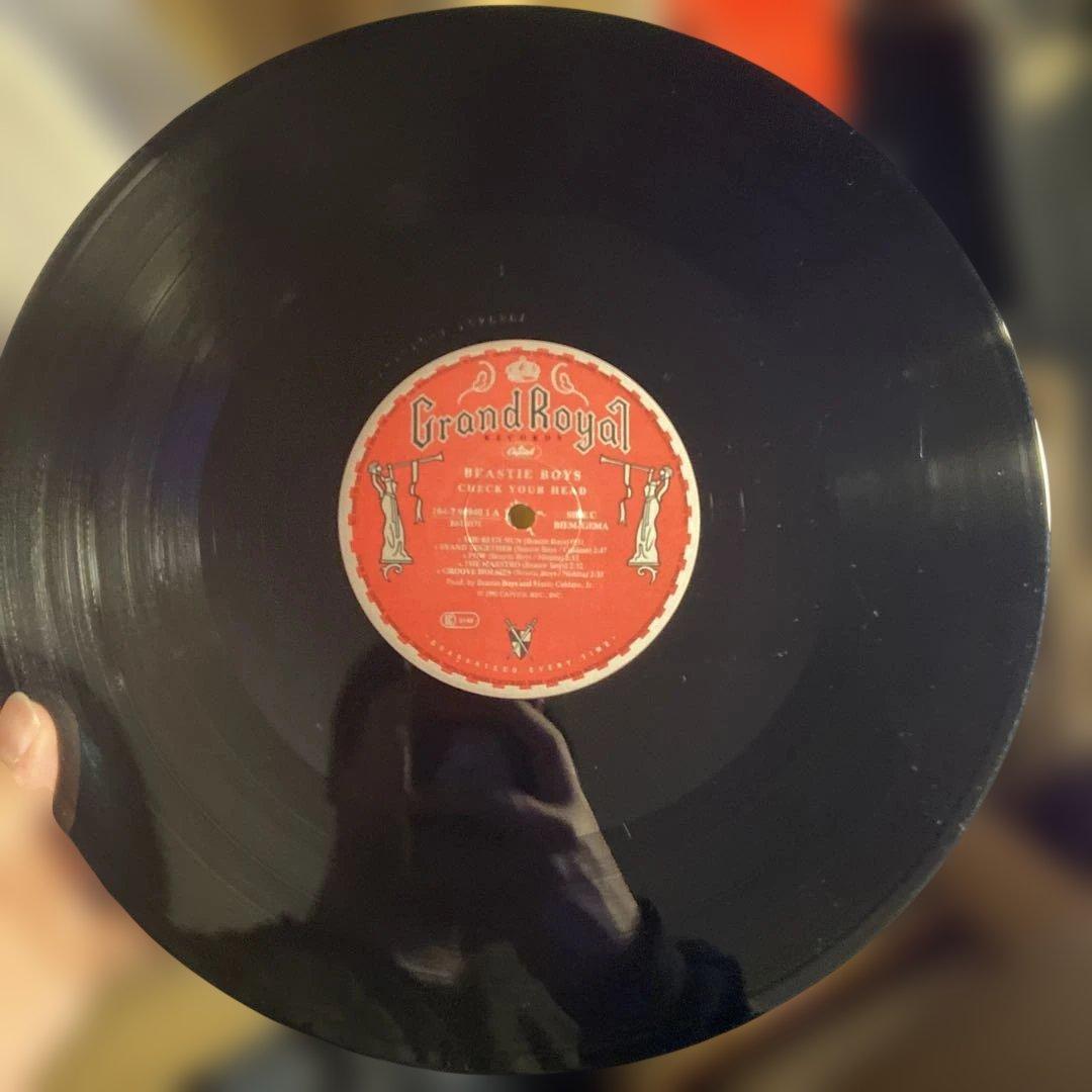 Beastie Boys - Check Your Head レコード