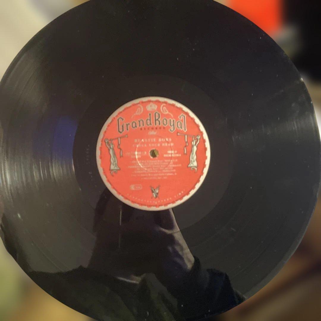 Beastie Boys - Check Your Head レコード