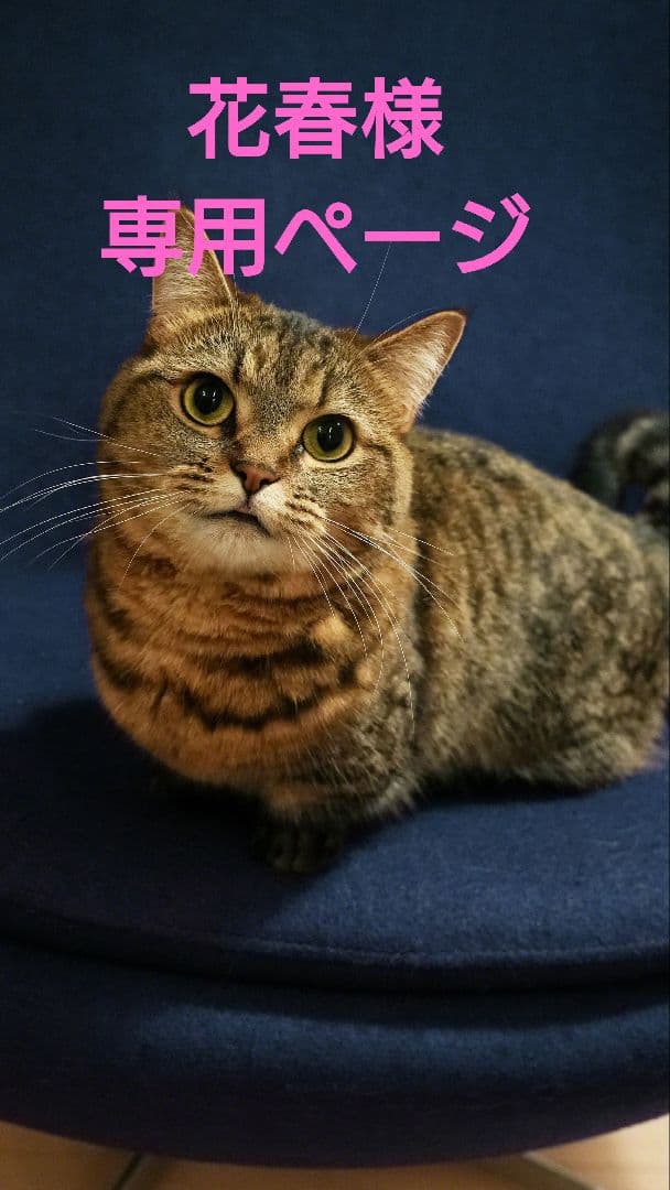 花春ページ
