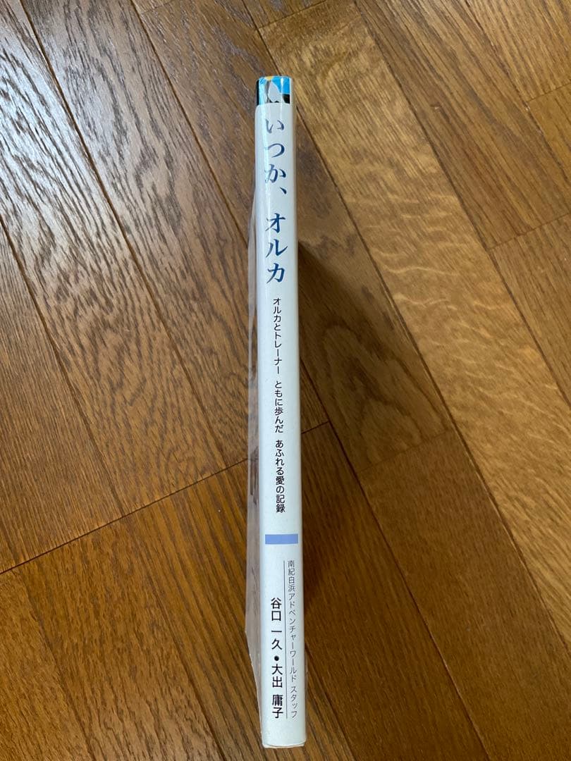 いつか、オルカ