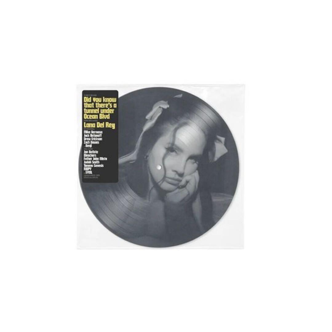 Lana Del Rey ラナデルレイ Did You Know レコード