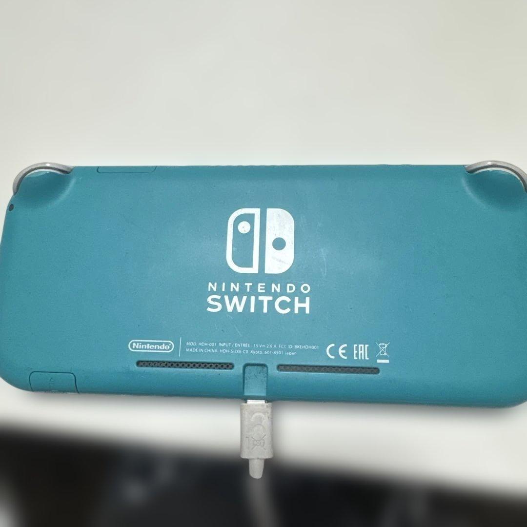 Switch light ジャンク