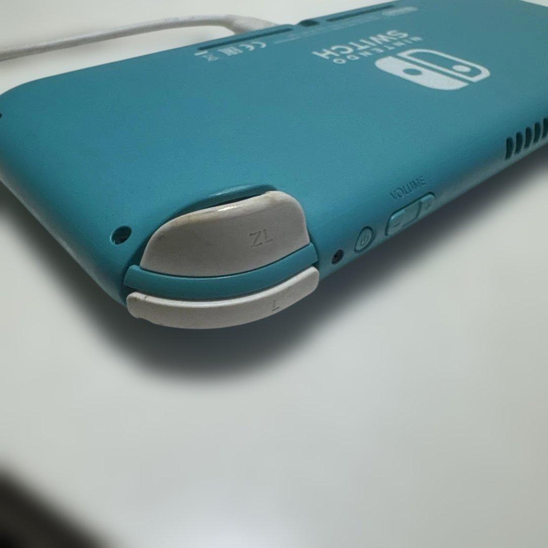 Switch light ジャンク
