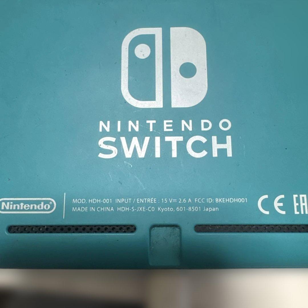 Switch light ジャンク
