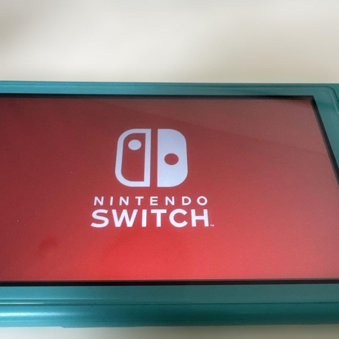 Switch light ジャンク