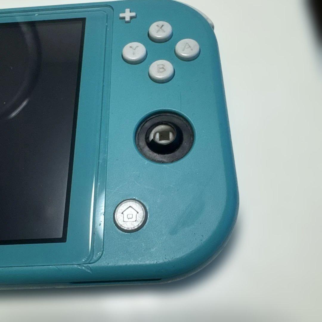 Switch light ジャンク