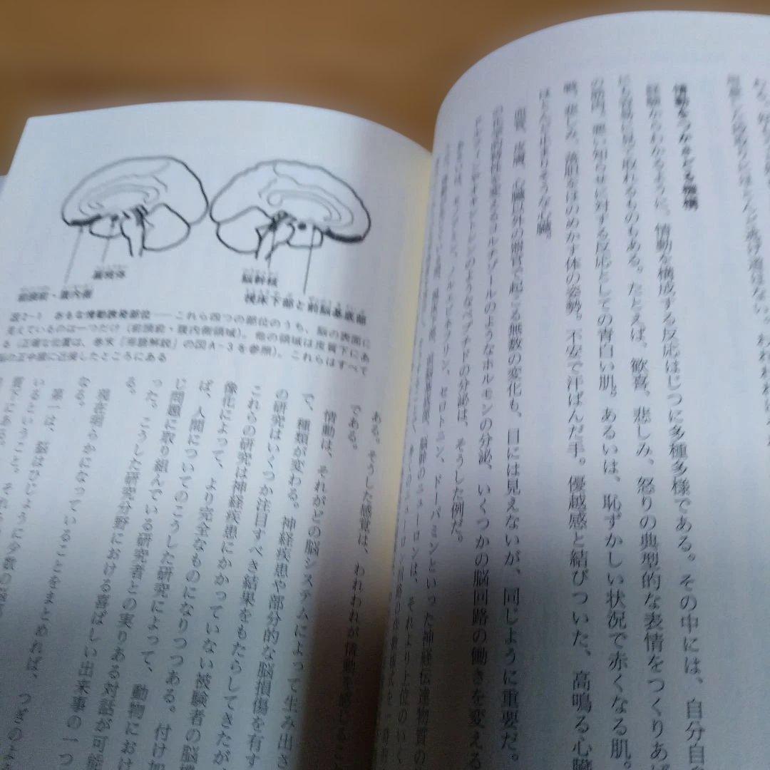 意識の理論・2題【無意識の脳 自己意識の脳、意識する心】
