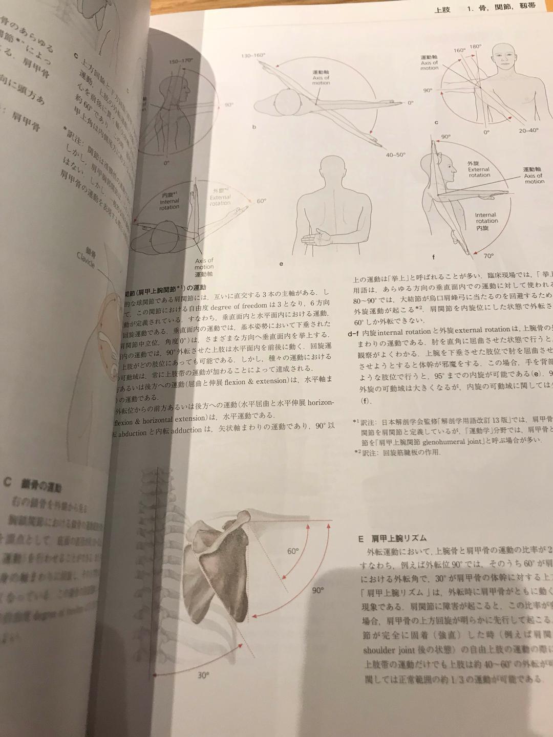 プロメテウス 解剖学アトラス
