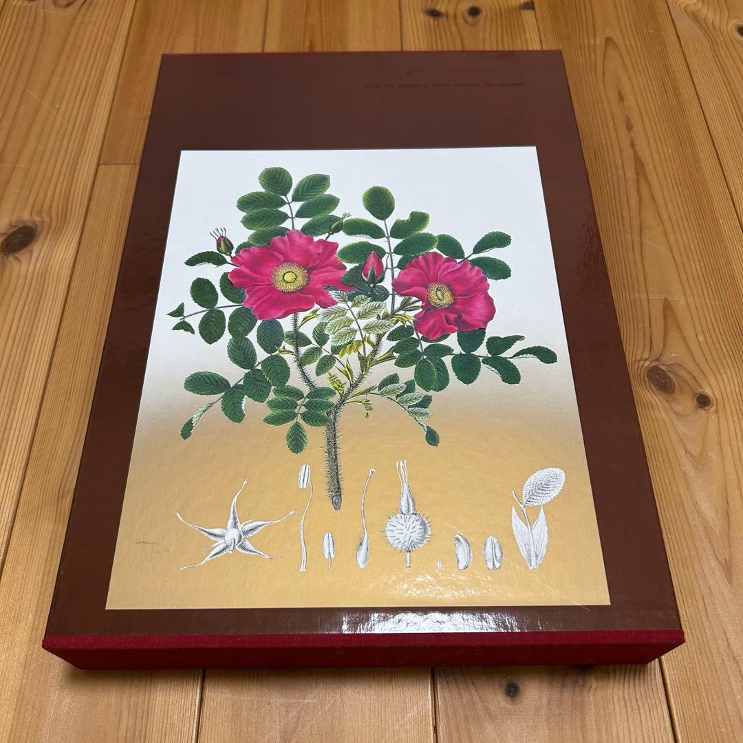 【完品希少】原色精密 日本植物図譜 シーボルト 講談社 複製画4枚付 1984年