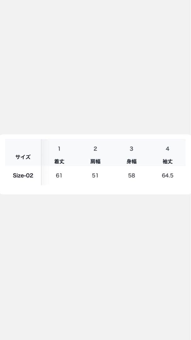 DECOROSO ブラック デニムジャケット サイズ2