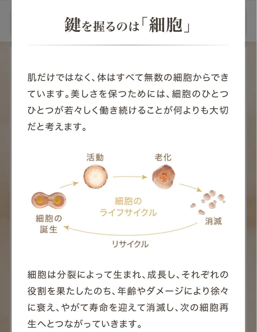 Sale【新品未開封】ロンジェビティ クリーム レフィル 定価45900円