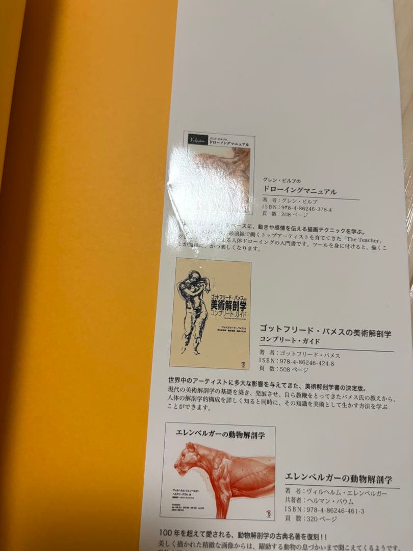 スカルプターのための美術解剖学＋モルフォ人体デッサン