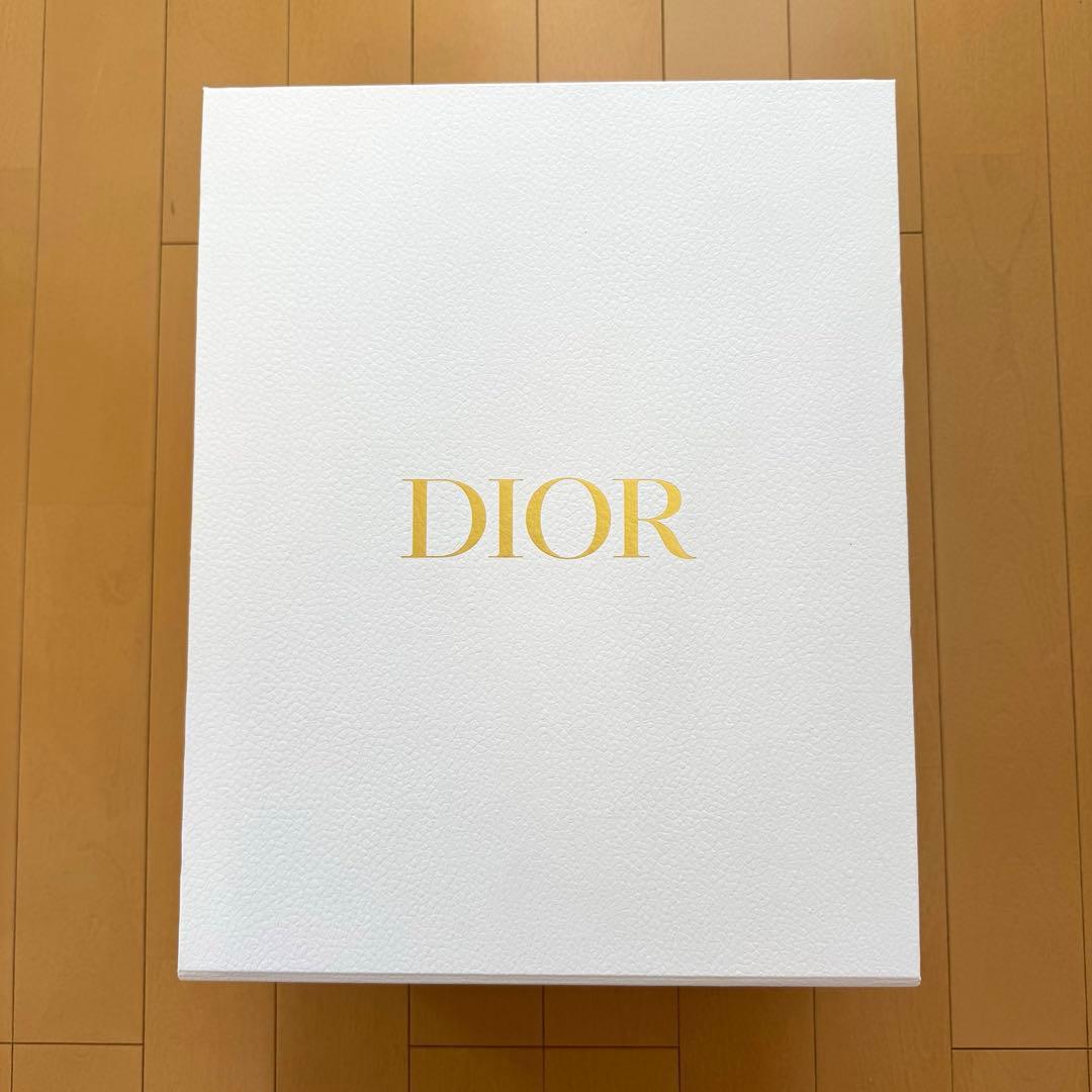 Dior 外箱(空箱) 紙袋 保存袋 リボン チャーム