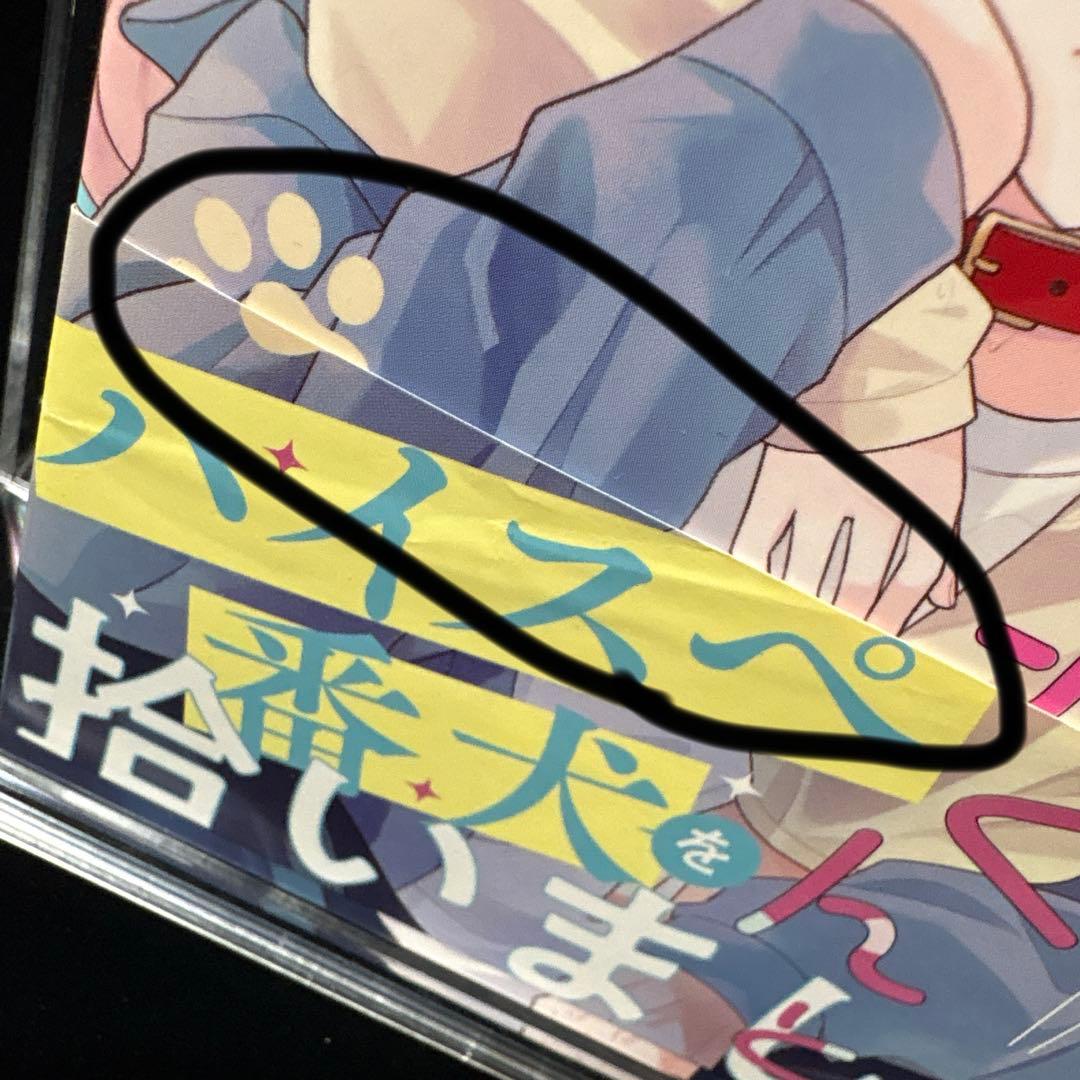 【お取置き中】拾った戌井くんと恋をする　行村コウ　先生