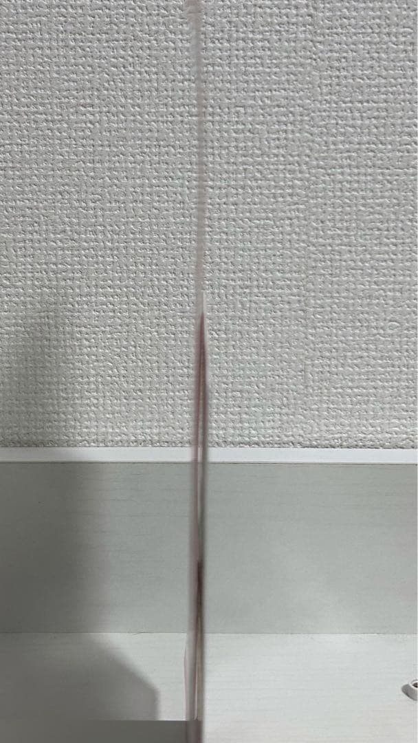 ハニーレモンソーダ　1〜24巻　side stories