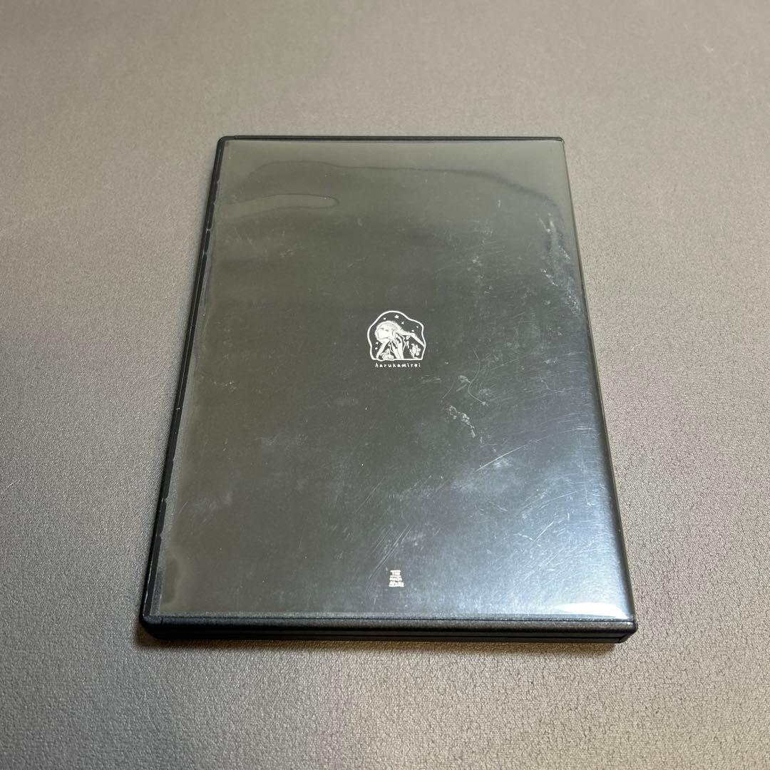ハルカミライDVD
