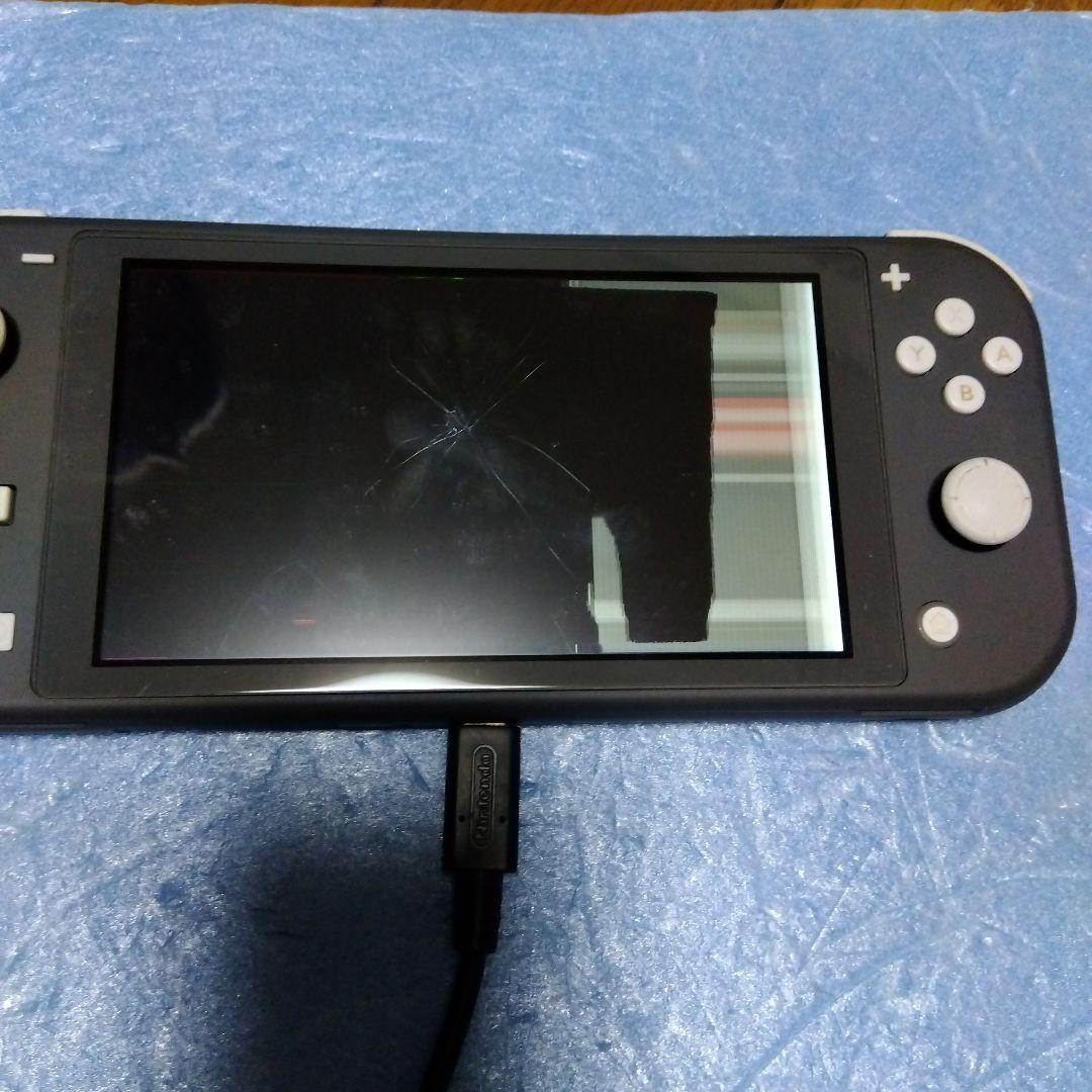 Ｓｗｉｔｃｈライト、プロコン　ジャンク品