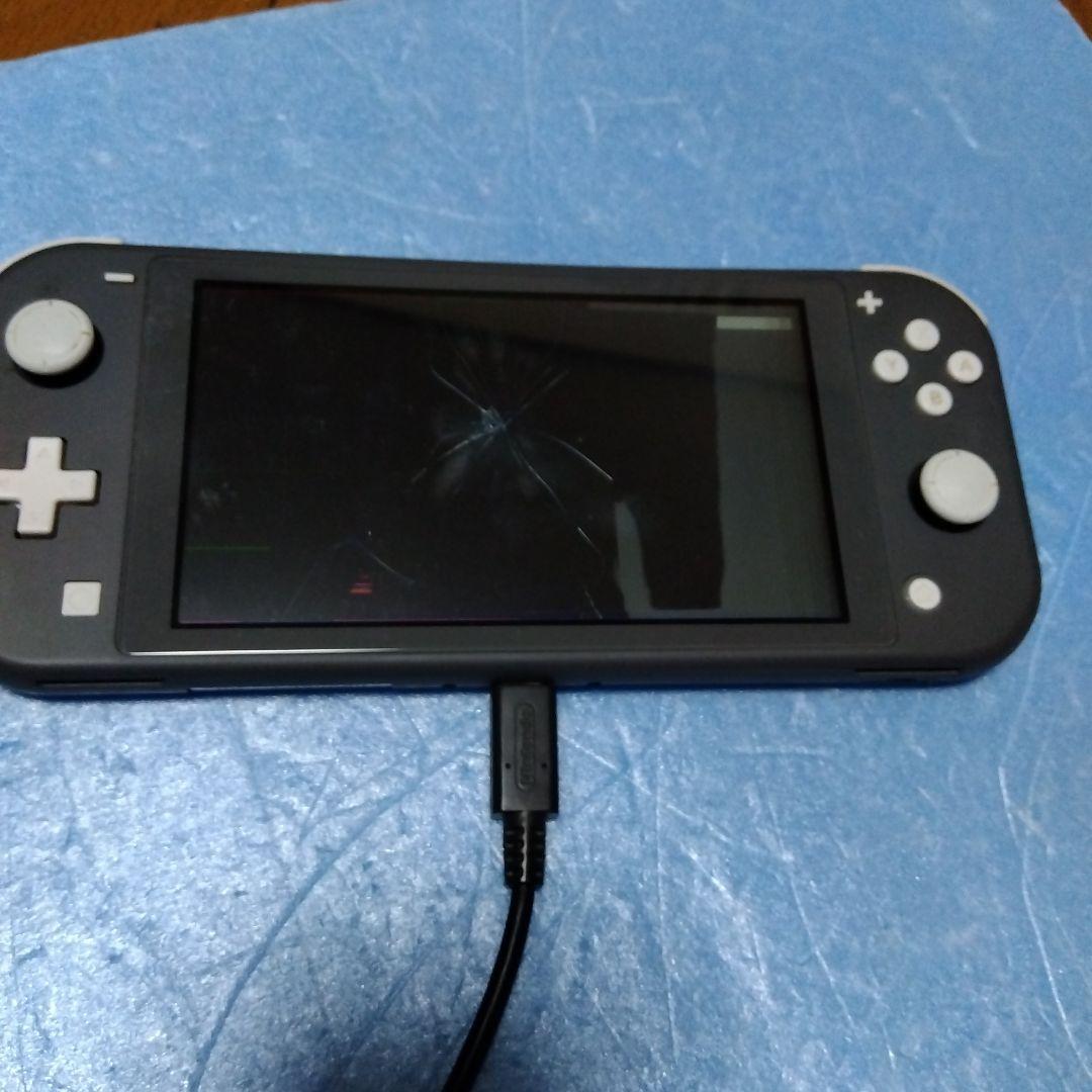 Ｓｗｉｔｃｈライト、プロコン　ジャンク品