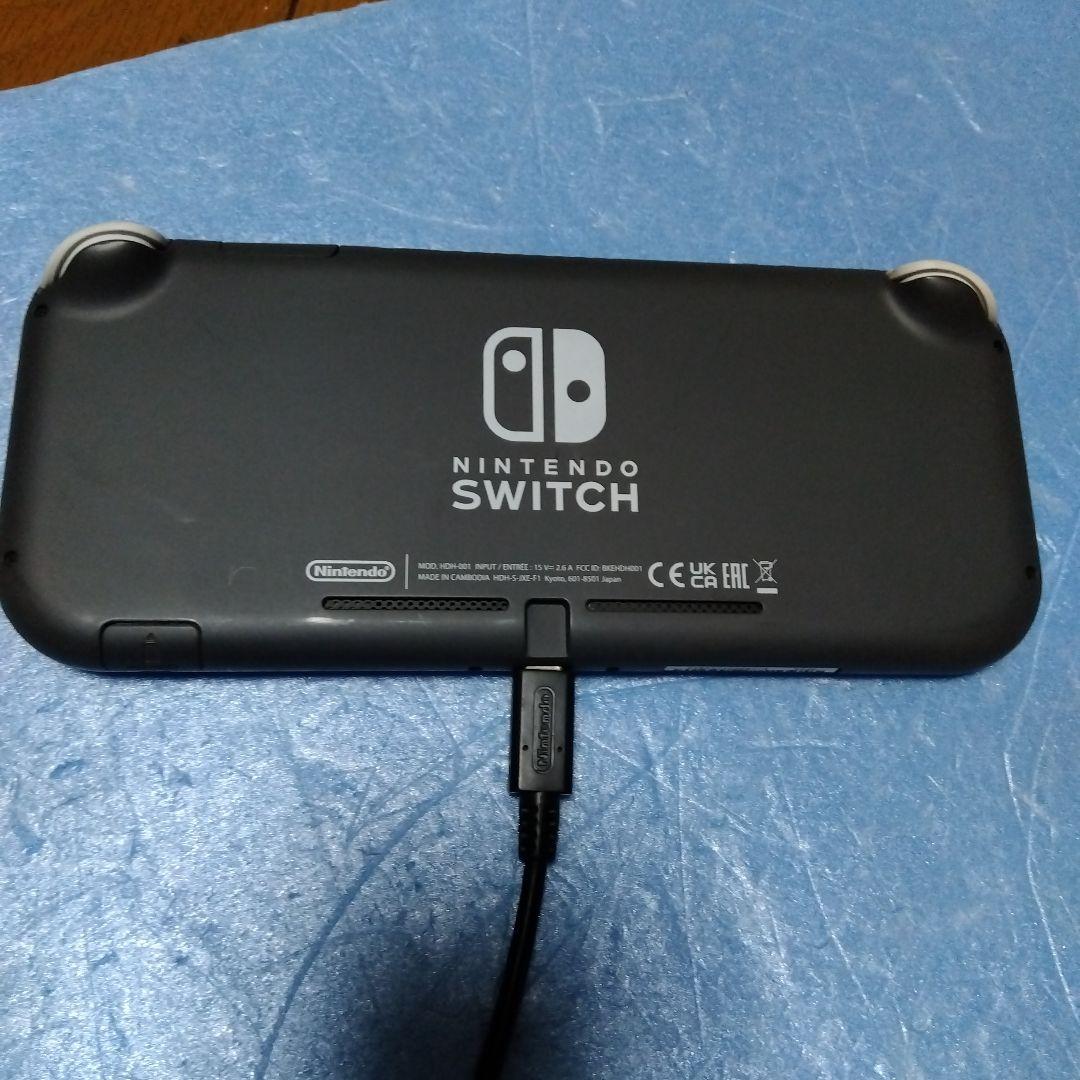 Ｓｗｉｔｃｈライト、プロコン　ジャンク品