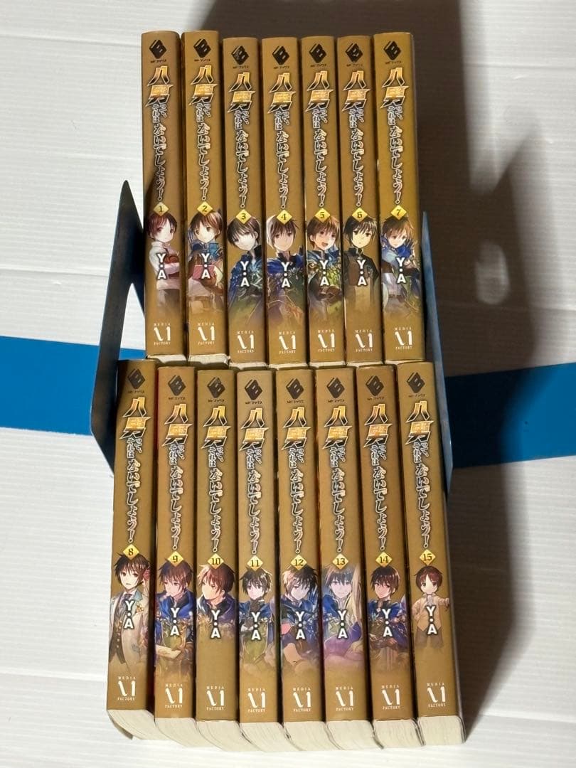 ライトノベルまとめ売りセットになります。