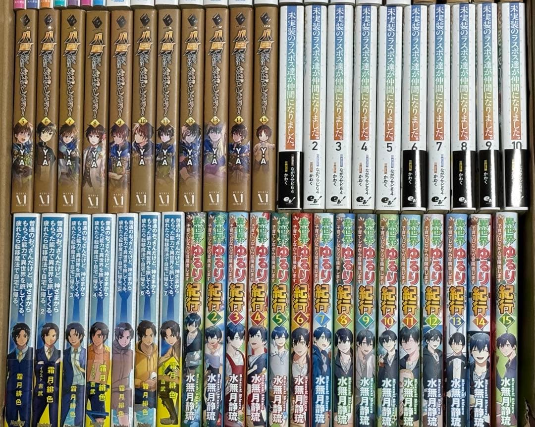 ライトノベルまとめ売りセットになります。