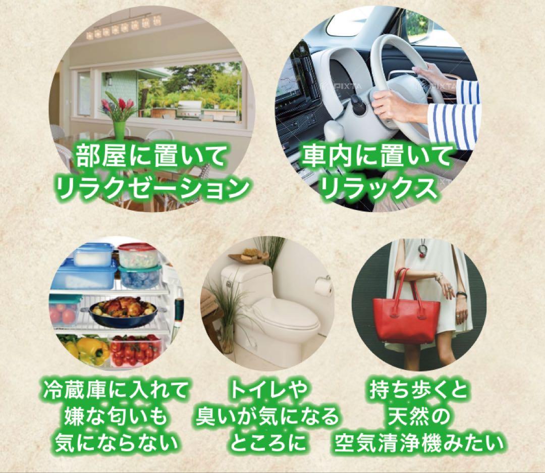リラクトン フィトンチッド 60g×1個 新品未開封