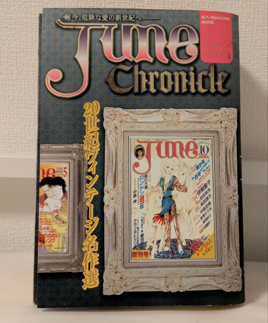 June Chronicle ジュネクロニクル　間の楔