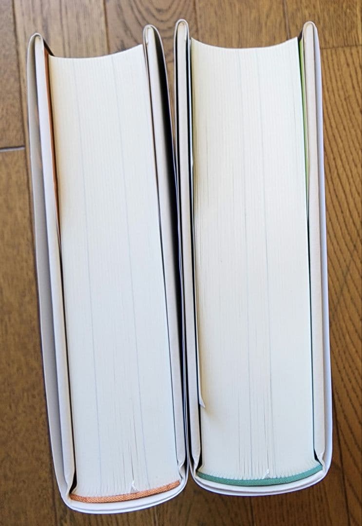 ドイツ史 1800-1866 上巻・下巻２冊セット　トーマス ・ニッパーダイ