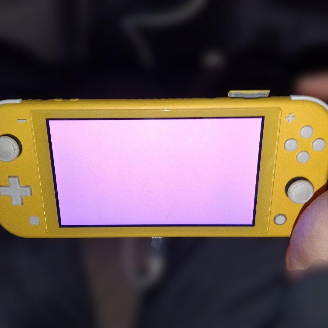 スイッチライトジャンク品値下げ不可