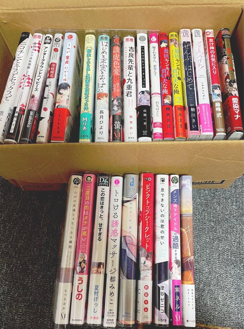 BLコミック BL漫画 まとめ売り バラ売り