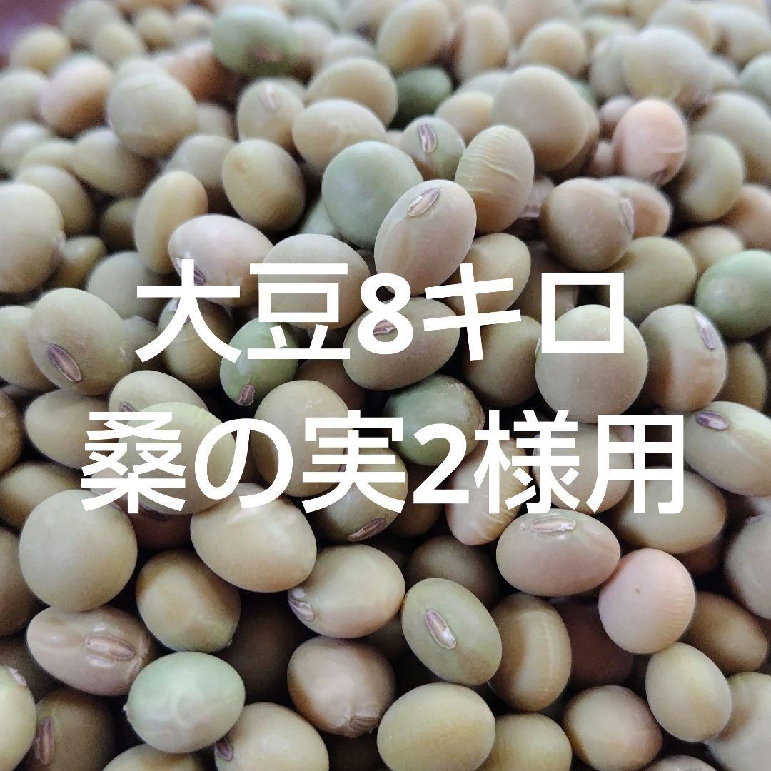 大豆　8キロ　桑の実2様用