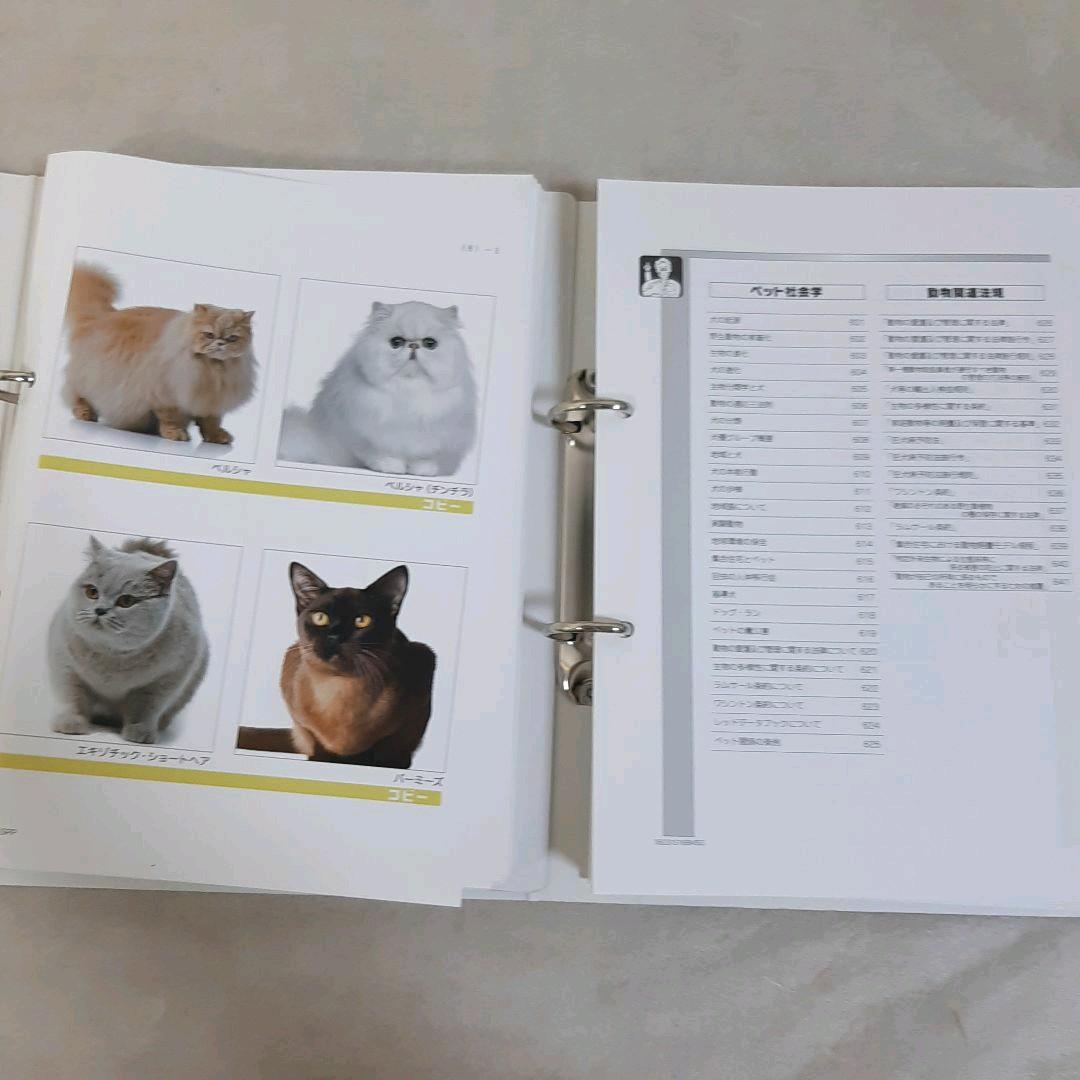 キャットケアスペシャリスト 看護・介護士プラス講座 教材セット一式