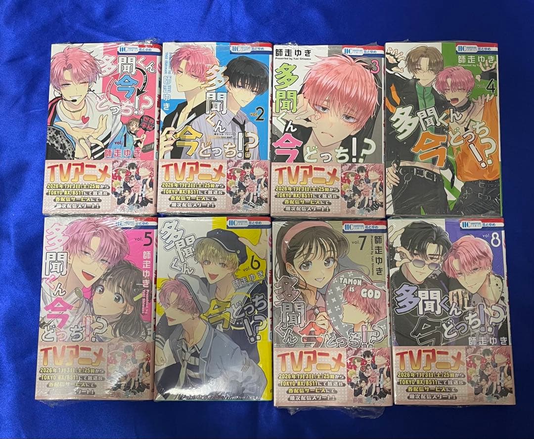 多聞くん今どっち 1~13巻 全巻セット 新品未開封 シュリンク付き