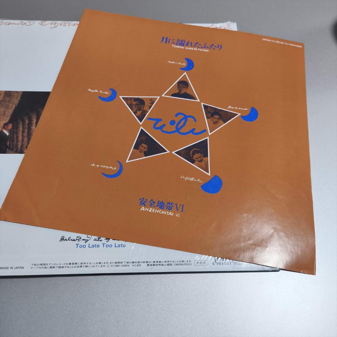 美盤 美品 LP 安全地帯 VI 月に濡れたふたり 玉置浩二 LP レコード