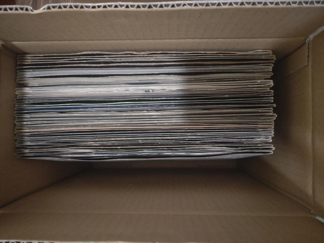 テクノ ハウス （39枚セット＋1） レコード TECHNO HOUSE