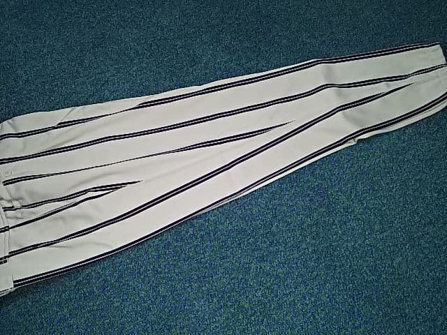 MIZUNOPRO 新品 ミズノプロ ロングパンツ Ｌサイズ プロコレクション