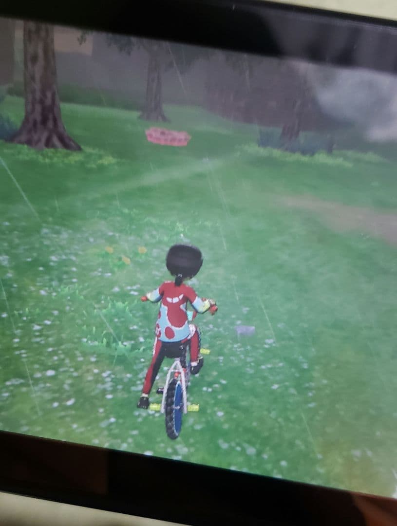 ポケットモンスター ソード シールド Nintendo Switch 2点セット
