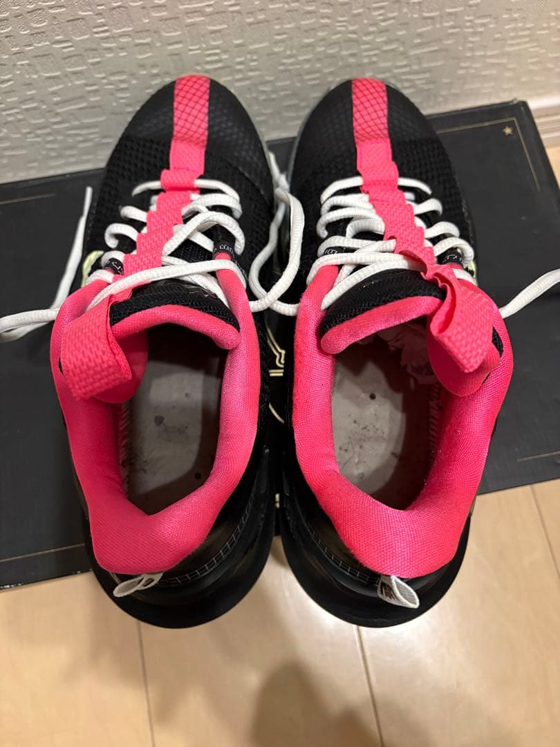 シューズ(男性用) LeBron ZOOM AMBASSADOR 13 \"yeezy\" 26.5