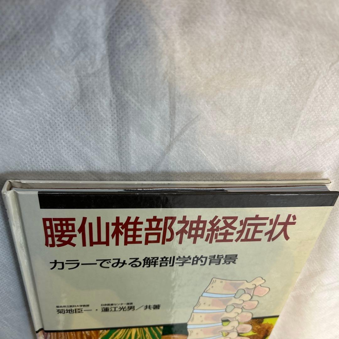 腰仙椎部神経症状 カラーでみる解剖学的背景