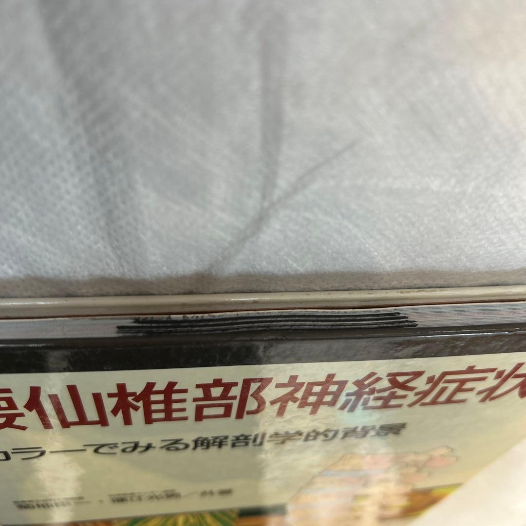 腰仙椎部神経症状 カラーでみる解剖学的背景