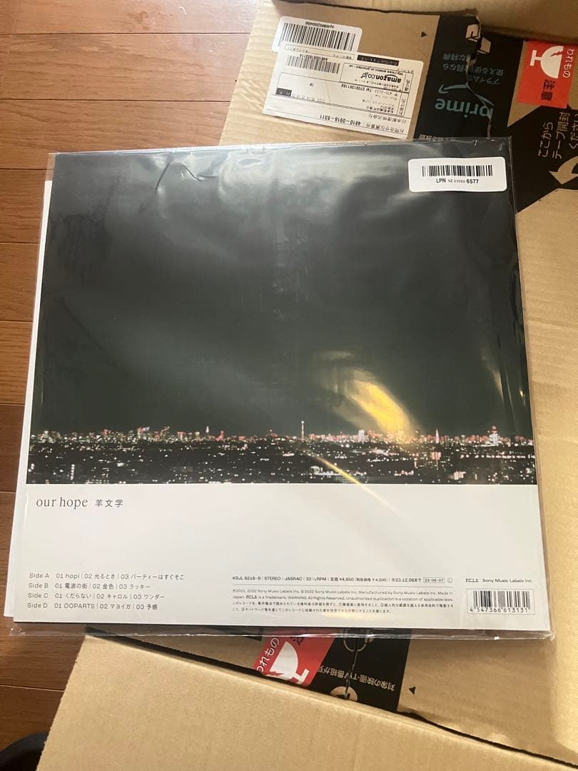 羊文学 our hope アナログ盤 2LP レコード カラーヴァイナル 限定盤