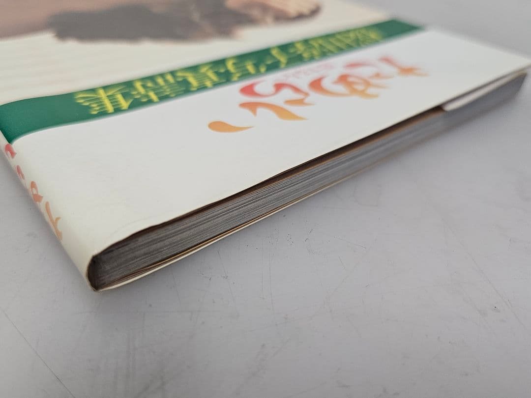 良品1980年初版 桜田淳子 写真詩集 ためらい 恋する人へ 折込ピンナップ付
