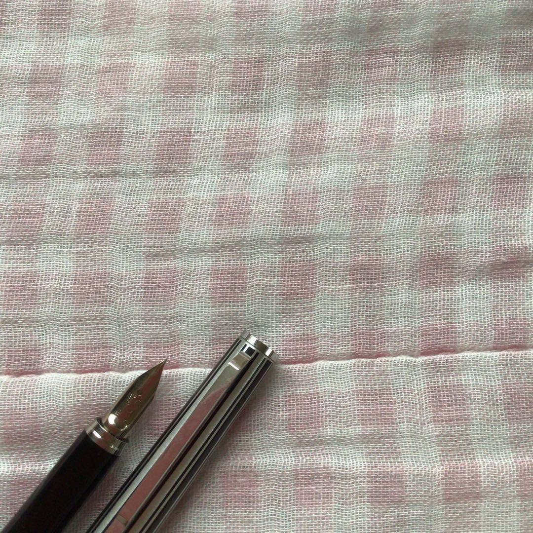 プラチナ 18K 18金 万年筆 リビエール ストライプ 黒 細字 廃盤