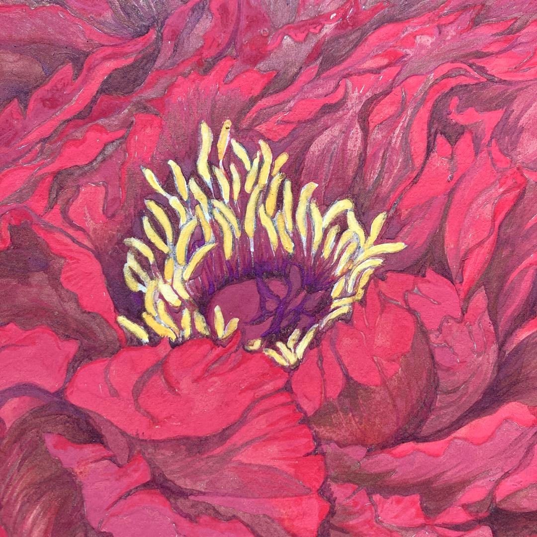//ダイフク//小谷久子　紙本彩色　『赤い牡丹』 日本画38×45.5cm