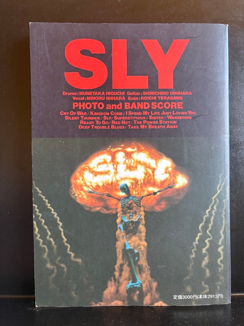 アート・デザイン・音楽 SLY PHOTO and BAND SCORE