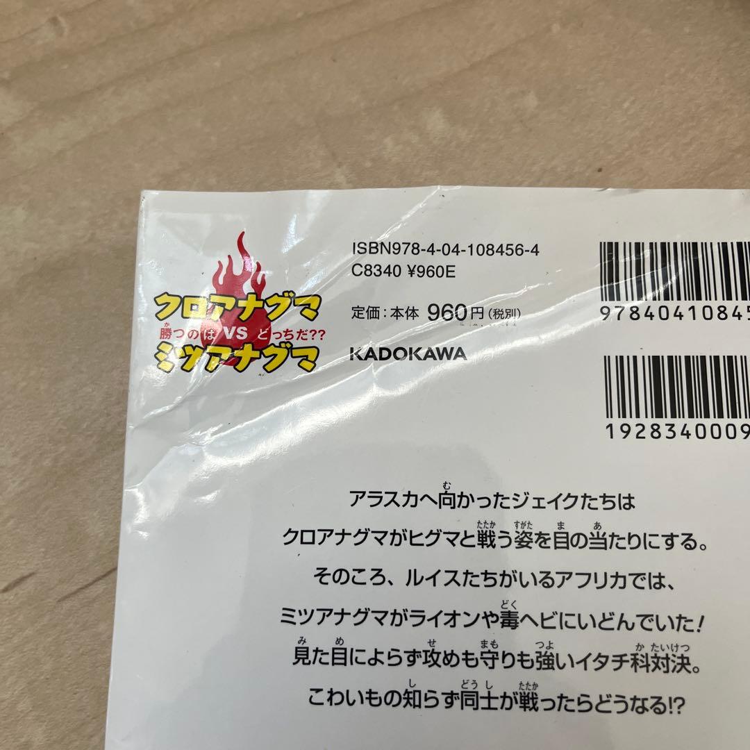 どっちが強いシリーズ　20冊セット